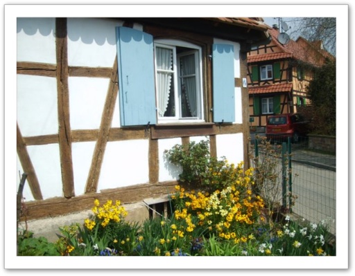 Gite chez Angle  Berstett en Alsace